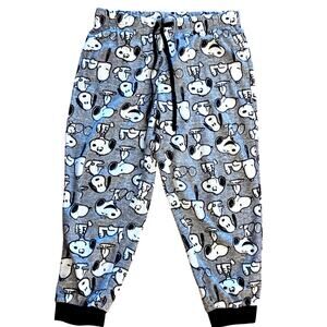 Cozy Grey Peanuts Snoopy Lounge Pajama Large 12-14